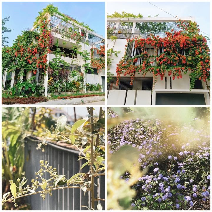 Nhà cho thuê M&M Homestay, 214 Trương Gia Mô, 4 phòng ngủ - Giảm 20% tháng 11!