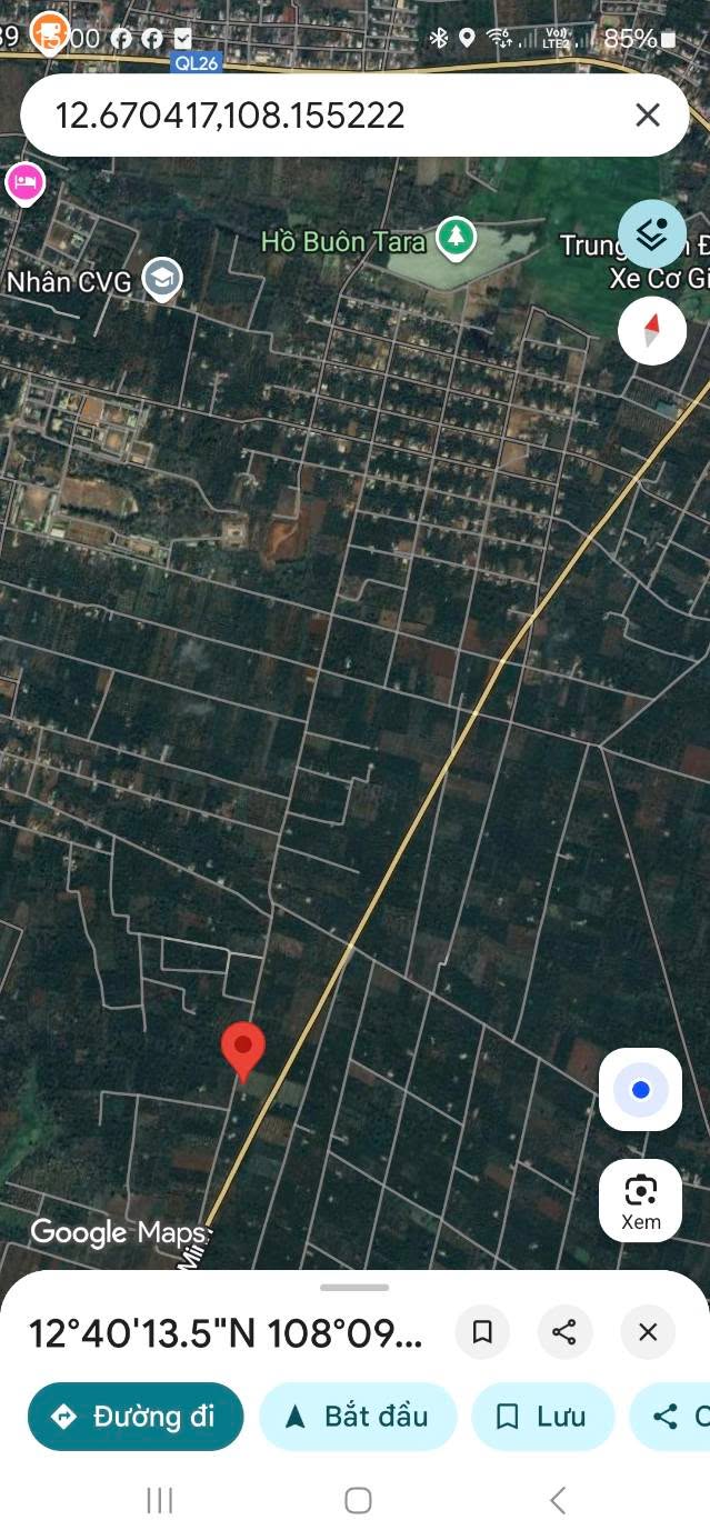 Đất Nông Nghiệp Xã Hòa Đông 5000m² giá 4.75 tỷ - Đất đỏ bazan đẹp, vị trí thuận lợi!