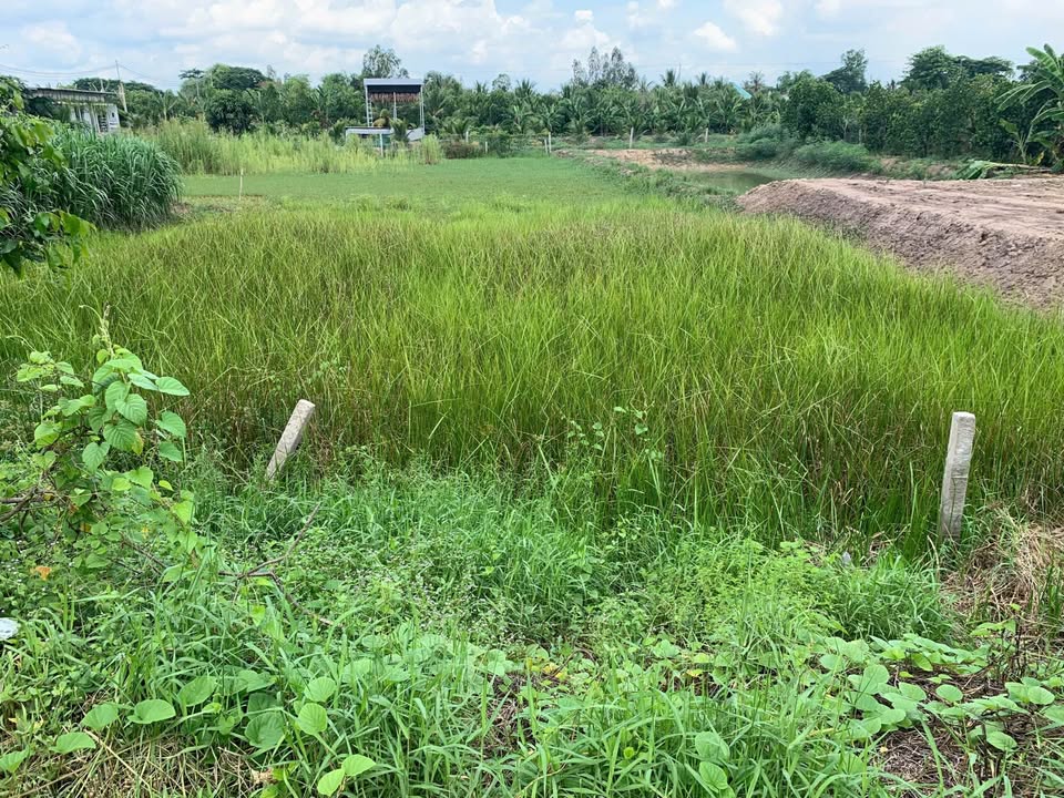 Đất nền liền kề ĐT 846 Tân Nghĩa 1229.2m² giá 1 tỷ - Cơ hội đầu tư hấp dẫn!