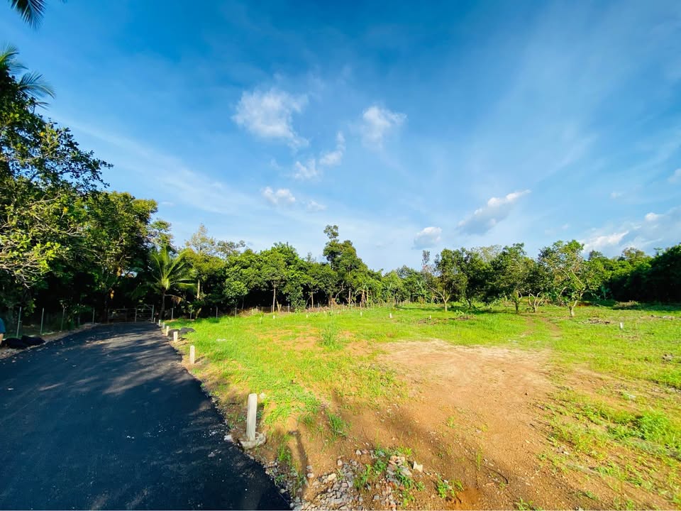 Đất nền mặt tiền nhựa Bình Lộc 143m² giá 950 triệu - Sổ đỏ chính chủ!