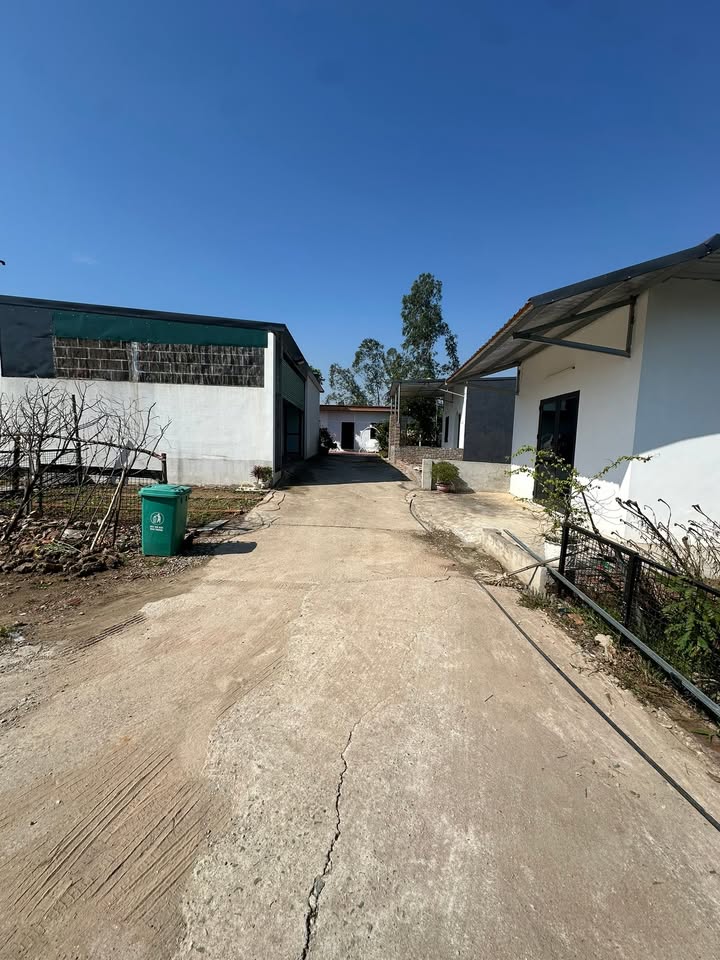 Đất lô góc 2 mặt tiền Minh Trí 101m² giá 707 triệu - Cơ hội đầu tư sinh lời hấp dẫn!