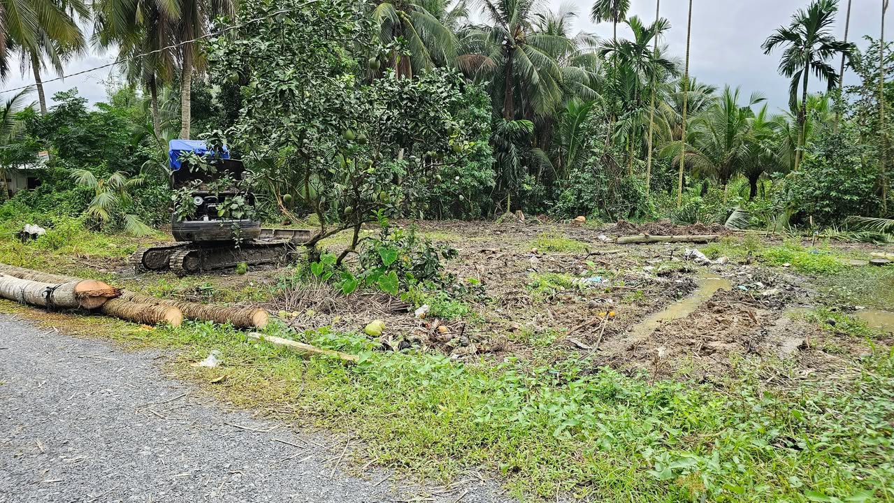 Đất thổ cư 180m² tại ấp Bình Đông, Gò Công Tây - Giá 300 triệu, hướng Đông mát mẻ!