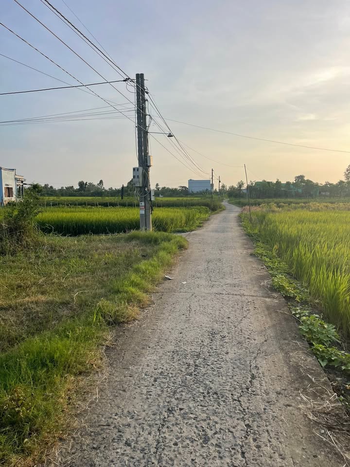 Đất thổ cư Gò Xoài Tân Trung 276m² giá 600 triệu - Khu dân cư đông đúc, giao thông thuận lợi