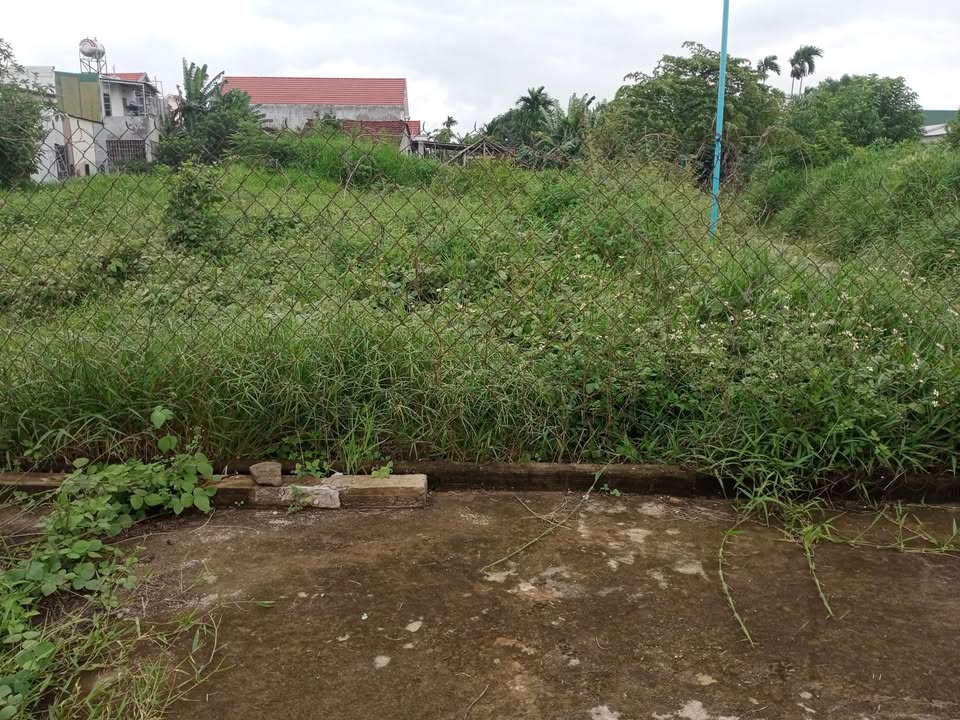 Đất vườn Trương Quang Trọng, Quảng Ngãi 524m² giá chỉ 2 tỷ - Lý tưởng cho nhà vườn yên tĩnh!