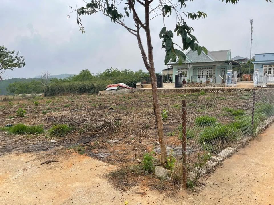 Đất nền Xuân Thọ Đà Lạt 1800m² giá 14 tỷ - View rừng thông tuyệt đẹp!