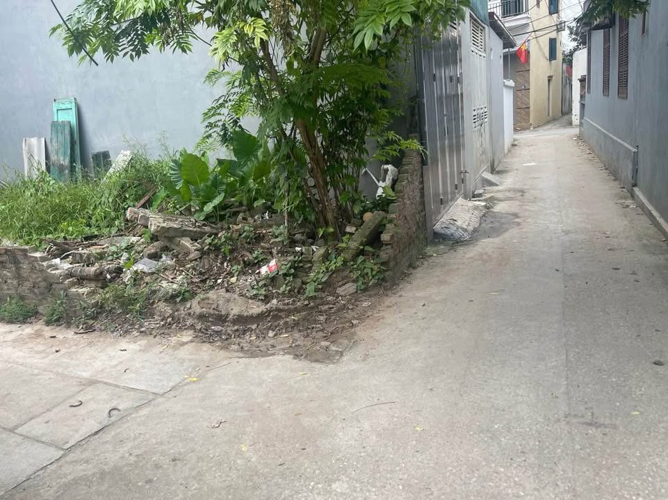 Đất nền Kim Chung 50m² giá 4.2 tỷ - Lô góc, đường 2.7m!