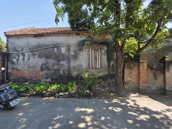 Đất nền Thôn Tràng, Cẩm Đông, Cẩm Giàng 92m² giá 1 tỷ - Đầu tư sinh lời ngay!