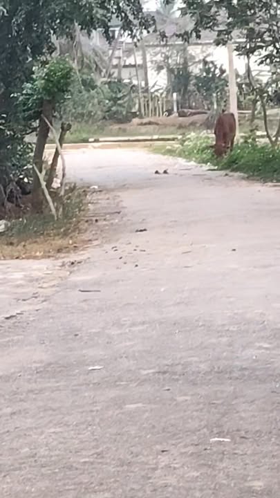 Đất nền đẹp tại xã Đức Châu, huyện Diễn Châu, 288m² - Cơ hội đầu tư tuyệt vời!