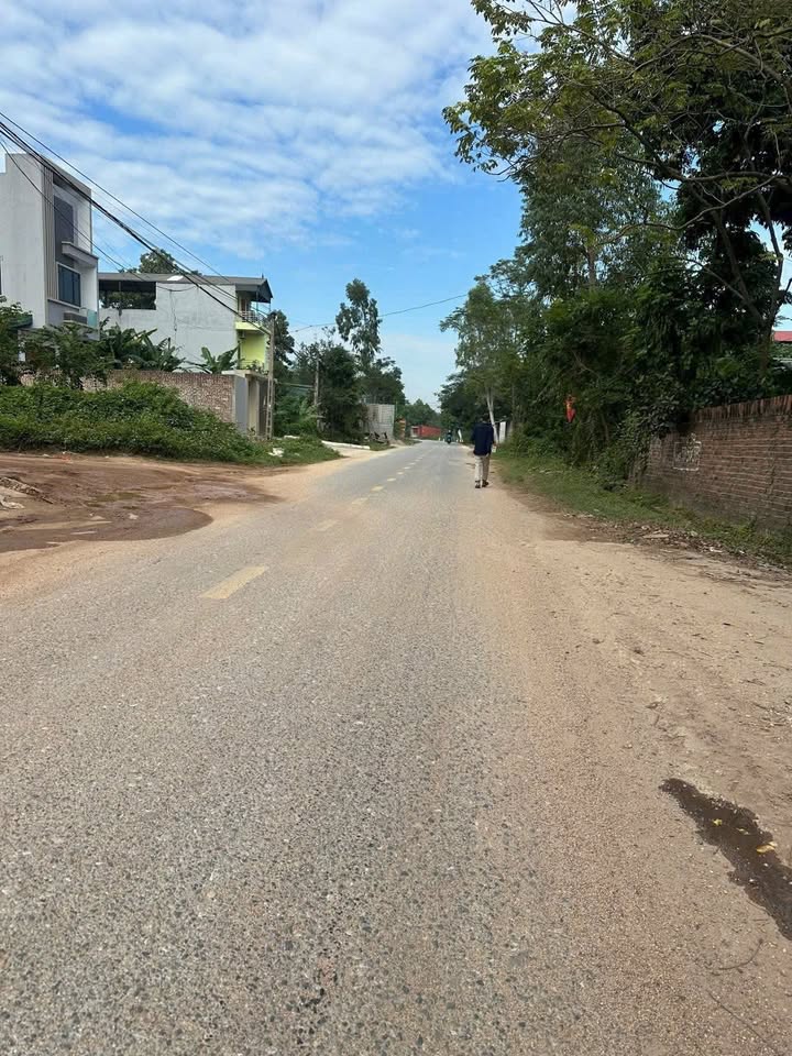 Đất nền 90m² tại Đường 306, Tam Dương, Vĩnh Phúc - Giá chỉ 1.5 tỷ, có nhà ống cho thuê!