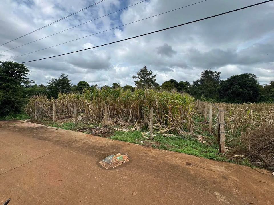 Đất thổ cư 240m² hẻm Cấp 1 Quốc Lộ 14 - Ô tô vào tận nơi chỉ 800 triệu!