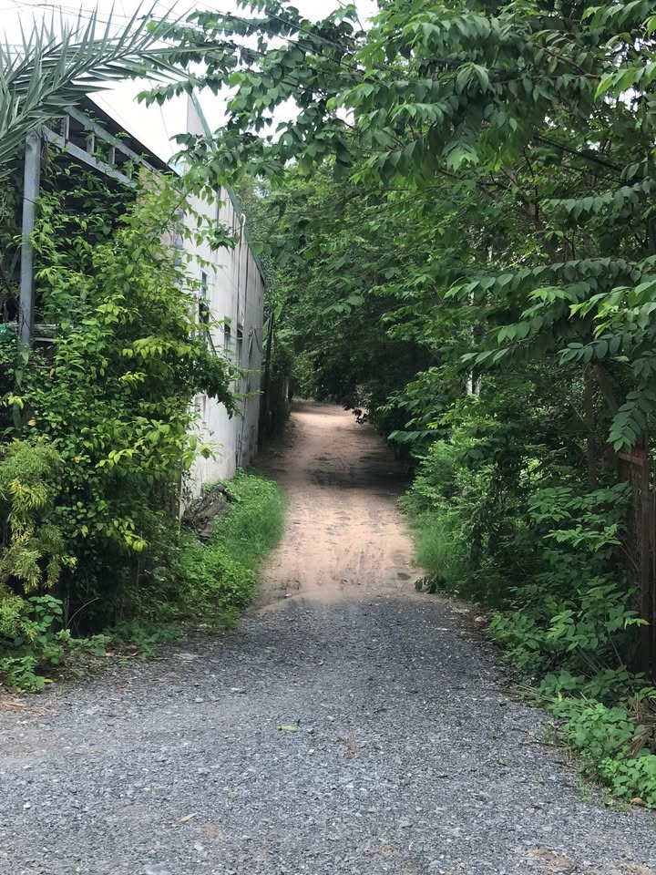 Đất Nhuận Đức Củ Chi 200m² giá chỉ 276 triệu - Đầu tư sinh lời ngay!