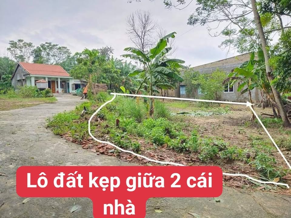 Đất Hòa Phong Đà Nẵng 149m² chỉ 500 triệu - Cơ hội đầu tư tuyệt vời!