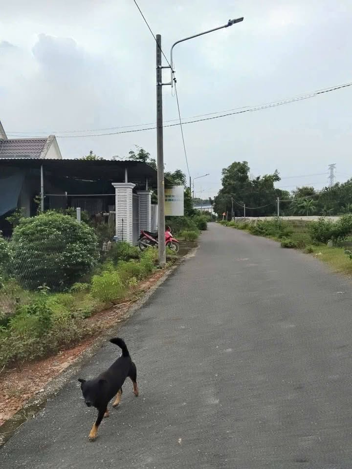 Đất nền An Điền, Bến Cát 336m² giá 1.75 tỷ - Vị trí đẹp, đầu tư sinh lời!