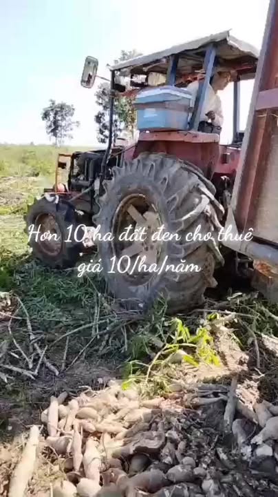 Đất cho thuê tại Ia Lâu, Chư Prông, Gia Lai - Thoả thuận linh hoạt!