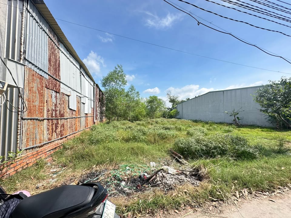 Đất nền xã Mỹ Hạnh, Đức Hòa 115m² giá 1.65 tỷ - Sổ hồng riêng, vị trí đắc địa!