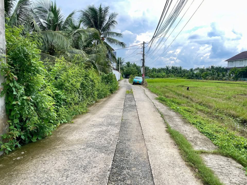 Đất nền thổ cư phường Mỹ Phong, Mỹ Tho 95m² giá 590 triệu - Đầu tư sinh lời ngay!