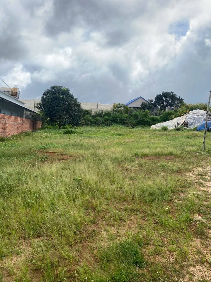 Đất nền xã Quảng Lập, Đơn Dương 75m² giá 1.2 tỷ - Sổ mới chính chủ, vị trí lý tưởng!