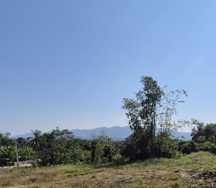 Đất thổ cư Sơn Hùng Thanh Sơn 200m² - Chính chủ bán gấp, ô tô vào tận đất!