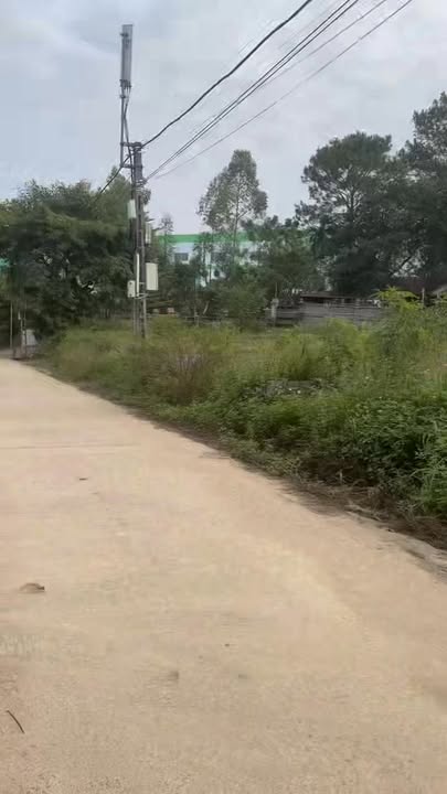 Đất nền Đồng Trung 145m² giá 600 triệu - Tiềm năng đầu tư lớn!