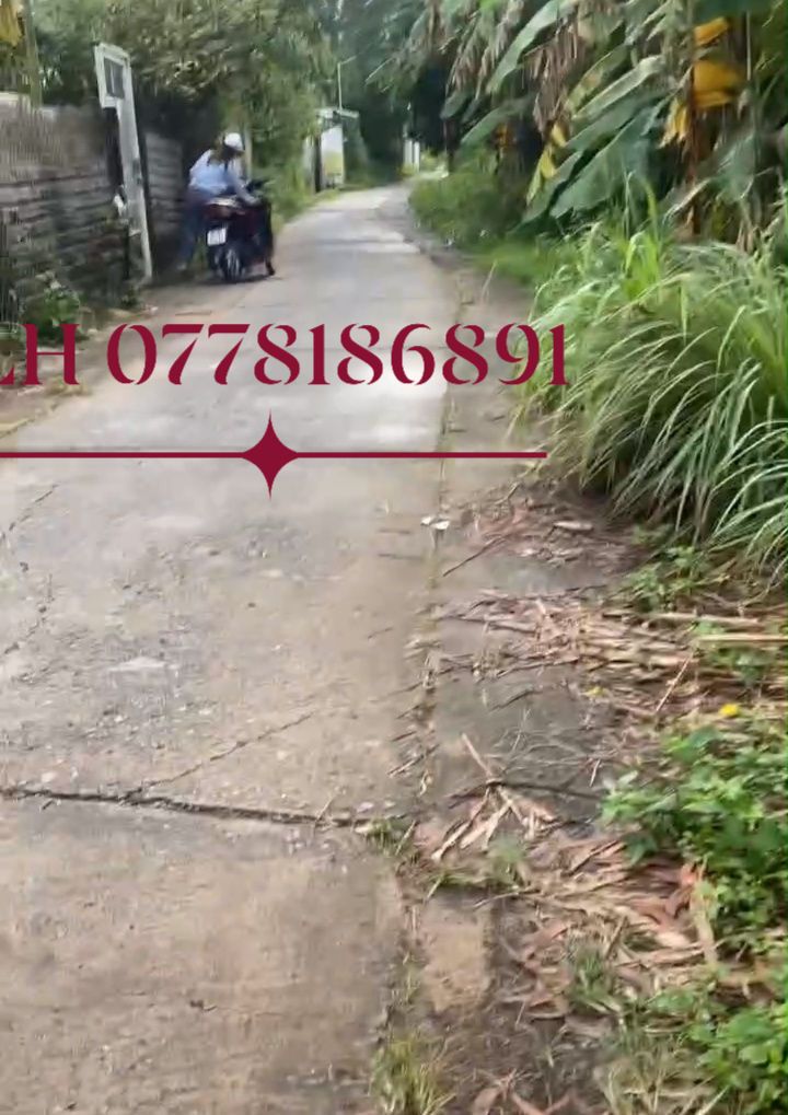 Đất mặt tiền Long Đức 100m² giá 200 triệu - Đầu tư sinh lời ngay!