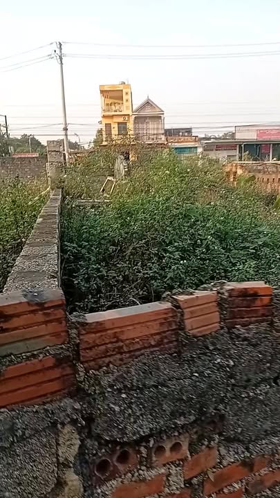 Lô đất 55m² giá 570 triệu tại phường Trung Sơn - Cơ hội đầu tư không thể bỏ lỡ!