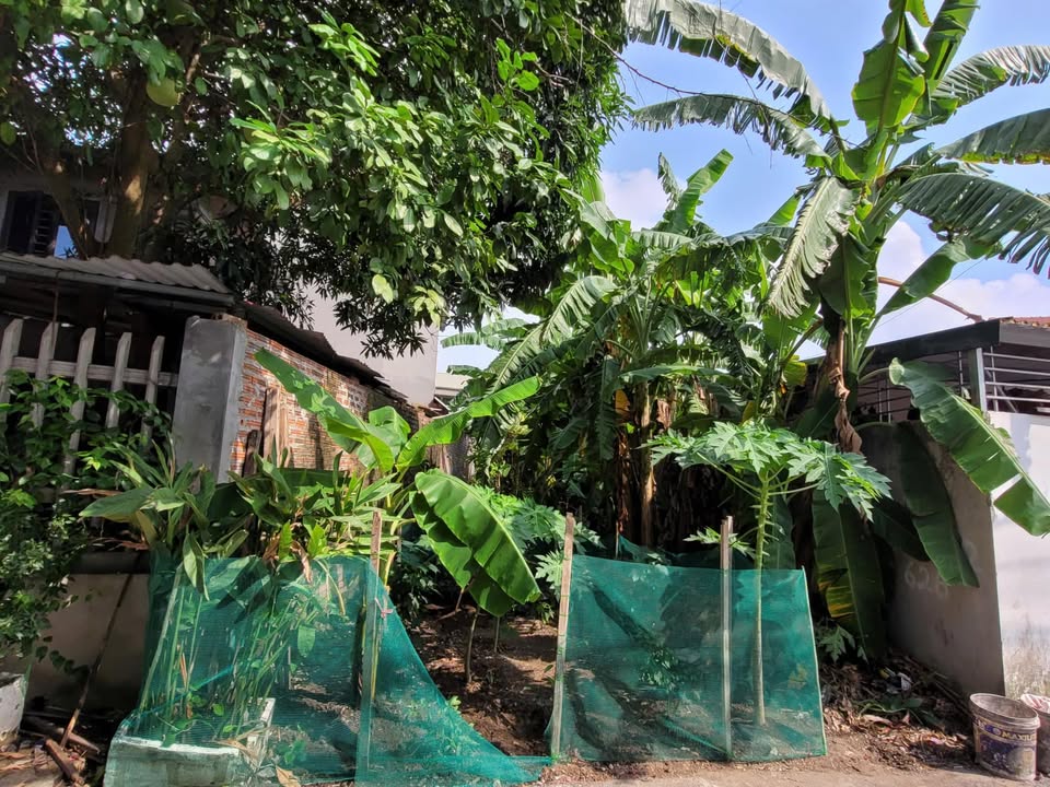 Đất thổ cư TDP Núi Hội Hợp 91m² giá 1.8 tỷ - Đường thông tứ phía!