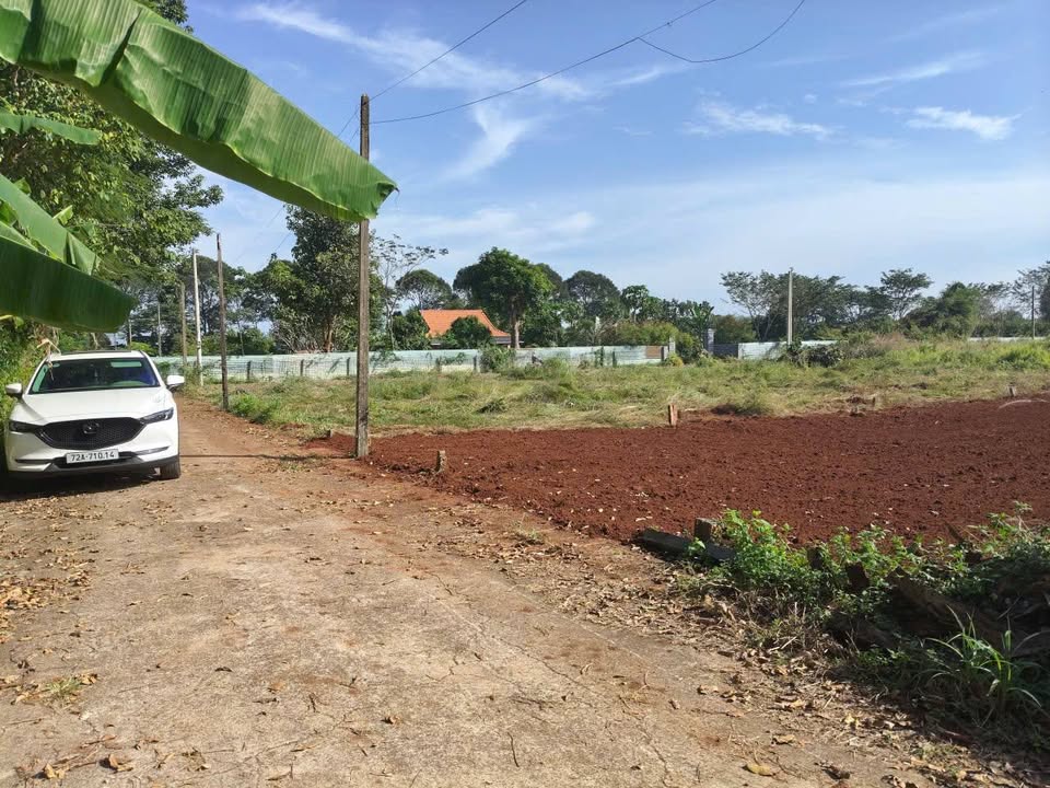 Đất nền Long Tân 200m² giá chỉ 690 triệu - Cơ hội đầu tư tuyệt vời!