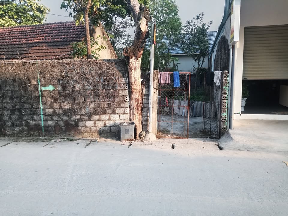 Đất nền phố Gia Lộc, phường Quảng Thịnh 114m² giá chỉ 3 tỷ - Cơ hội đầu tư tuyệt vời!