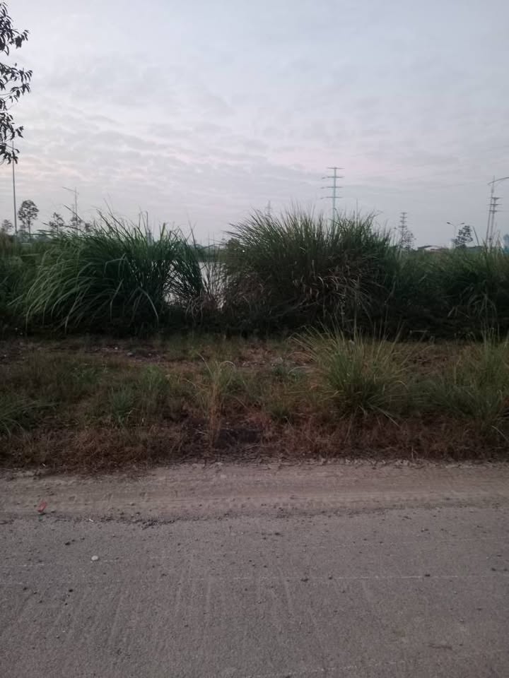 Đất nền Rừng Thông, Đông Sơn 107m² giá 2 tỷ - Chính chủ cần bán gấp!