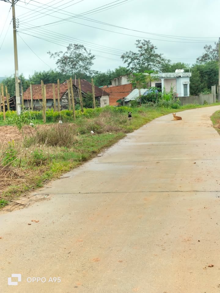 Đất thổ cư 630m² tại Trung Hòa, Xuân Phú, Ea Kar - Giá chỉ 340 triệu!