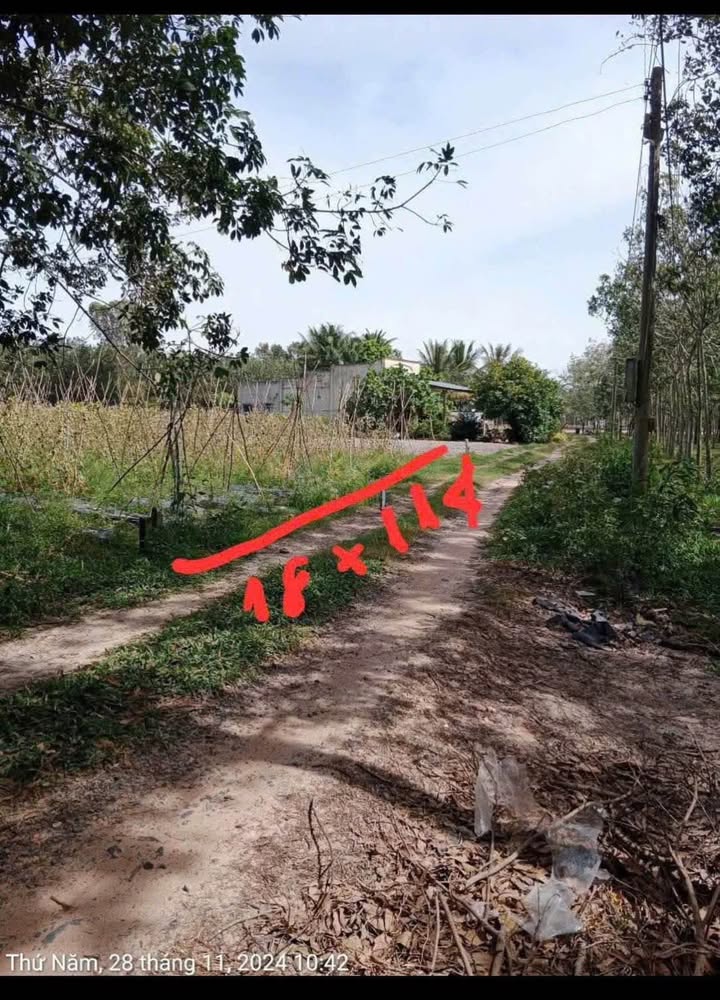 Đất nền Hảo Đước Châu Thành Tây Ninh 2000m² giá chỉ 420 triệu - Đầu tư sinh lời ngay!