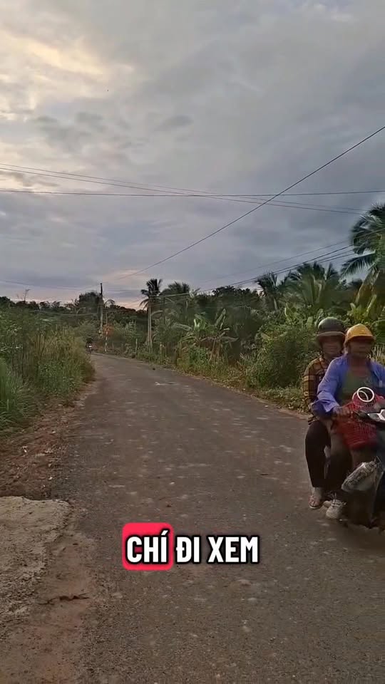 Đất mặt tiền đường nhựa 376m² tại Ấp Hội Thạnh, Tân Hội - Giá chỉ 550 triệu VND