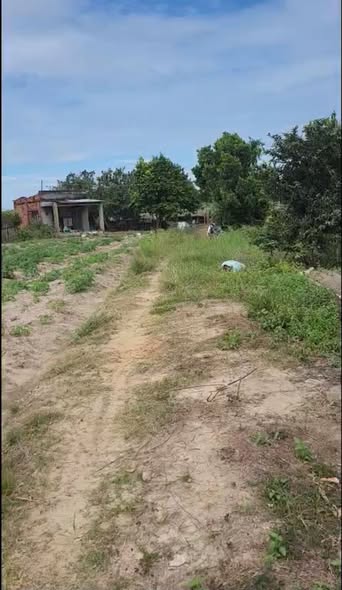 Đất nền 15000m² tại Ấp Thạnh Nghĩa, Tây Ninh - Giá chỉ 1.6 tỷ