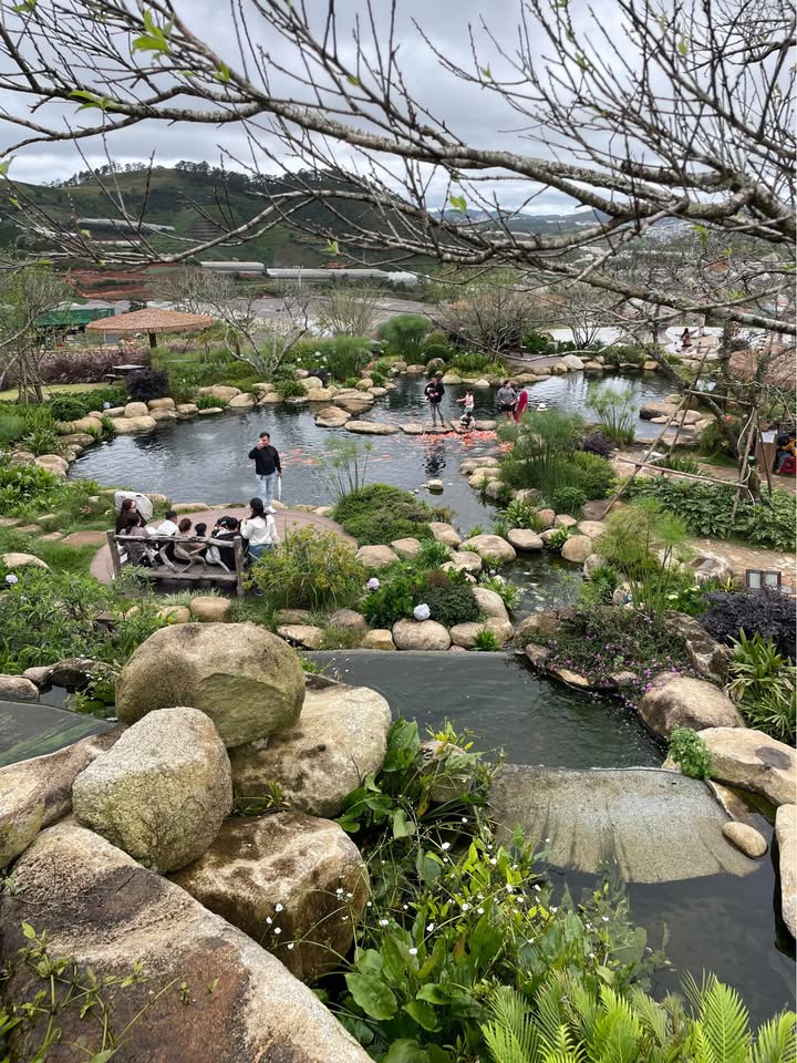 Đất mặt tiền Lạc Dương 887m² giá 17.74 tỷ - Đầu tư sinh lời ngay!