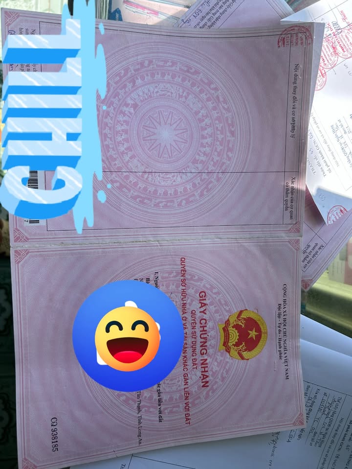 Đất nền Mặt tiền QL 62, Tân Thạnh, 350m² giá 1.59 tỷ - Cơ hội đầu tư hấp dẫn!