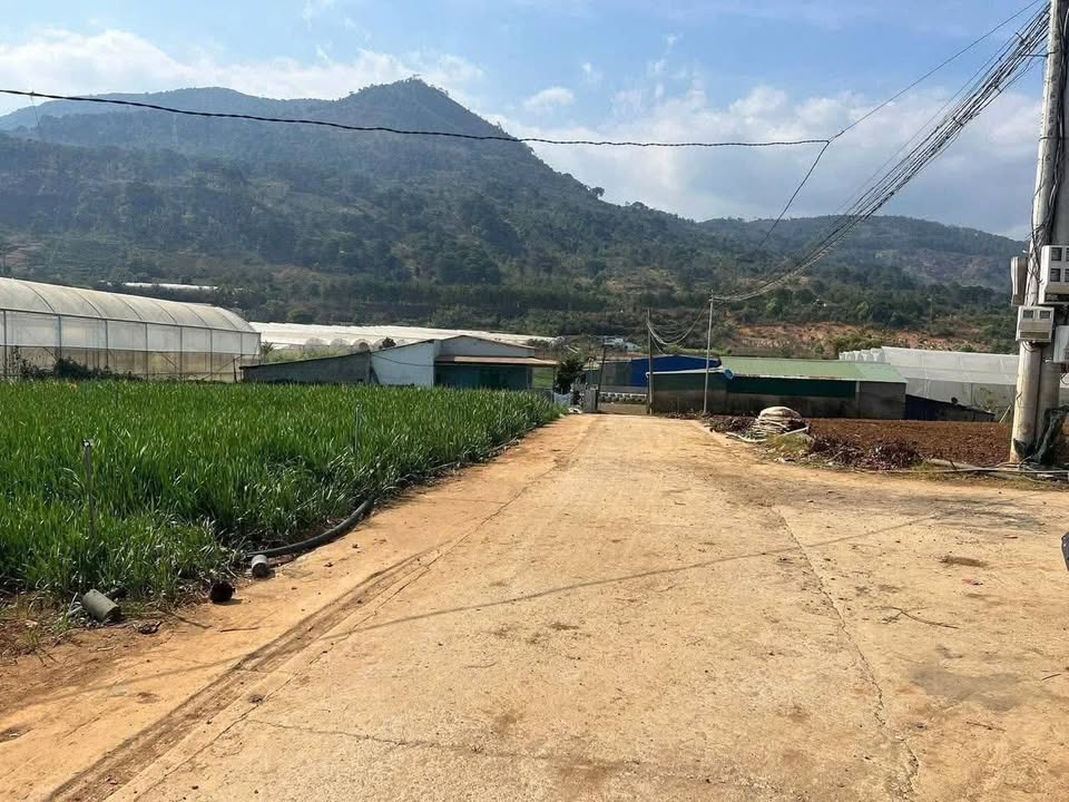 Đất nền Hiệp An, Đức Trọng, Lâm Đồng 220m² giá 1.65 tỷ - Cơ hội đầu tư hấp dẫn!