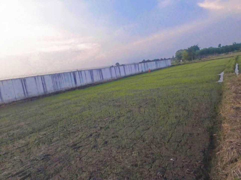 Đất trồng cây 1913m² tại xã Phước Vĩnh An, Củ Chi - Giá chỉ 1.051 tỷ VND!