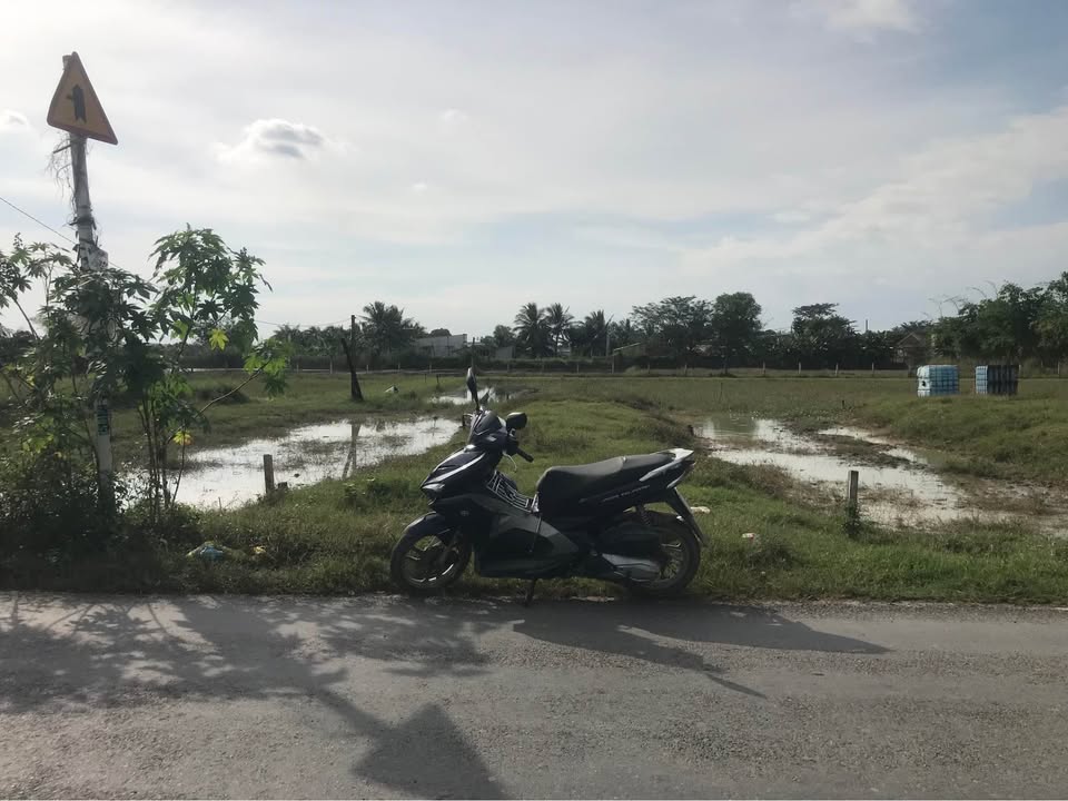 Đất nền mặt tiền Tỉnh Lộ 9, Mỹ Hạnh Nam, 175m² giá 2.4 tỷ - Tiềm năng sinh lời cao!