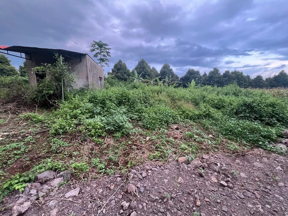 Đất nền Tân Phú Đồng Nai 188.8m² giá 470 triệu - Sổ hồng riêng, công chứng ngay!