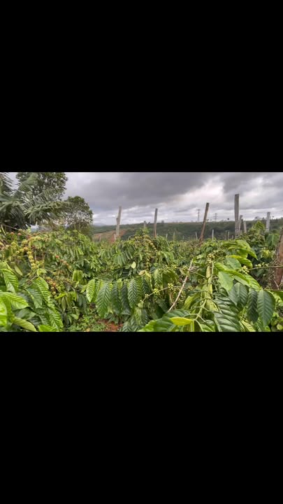 Đất nền Đắk N'Drung 1000m² - Mặt tiền đường bê tông, pháp lý rõ ràng!