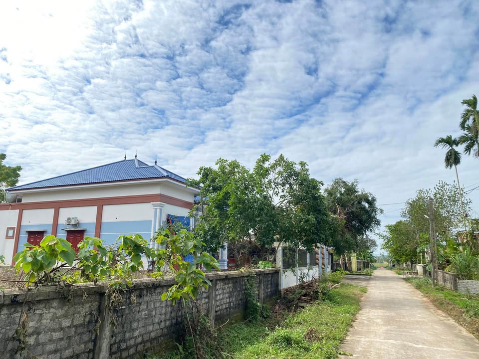 Đất thổ cư 275m² tại Yên Thành chỉ 1 tỷ - Đầu tư hay ở đều lợi nhuận!