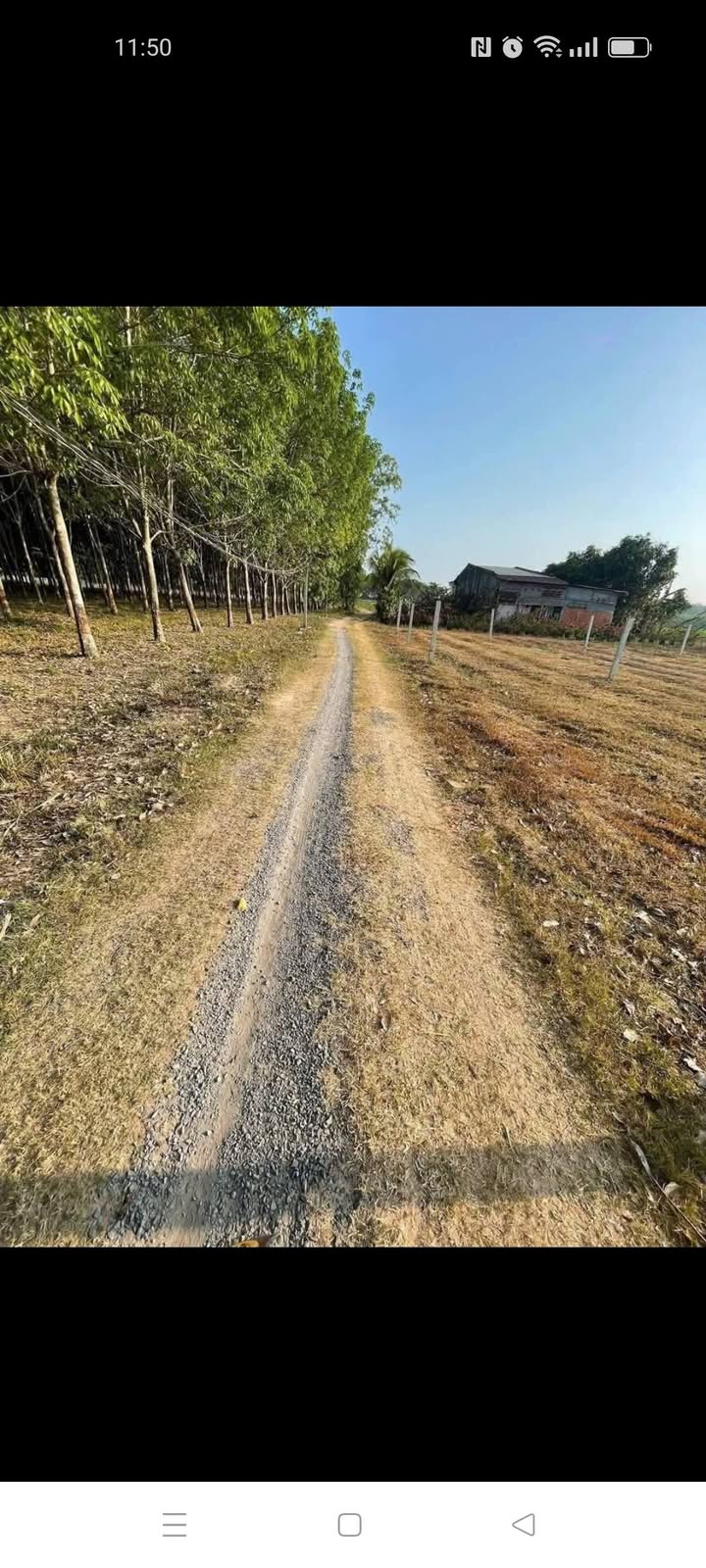 Đất thổ cư 100m² tại Xóm Mới 2, Trí Bình - Giá chỉ 380 triệu!