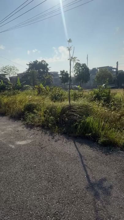 Đất nền Tái định cư Gia Lễ, Đông Mỹ, Thái Bình 67.5m² - Giá hấp dẫn nhất thị trường!