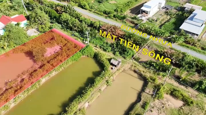 Đất nền 8000m² tại Ấp 11, xã Long Hữu, Trà Vinh giá chỉ 800 triệu - Đường ô tô vào tận nơi!