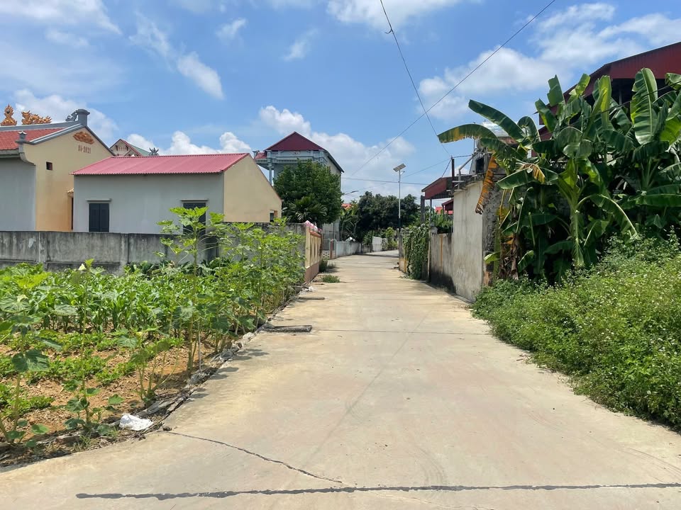 Đất nền Thôn Thuần Hậu, Xuân Minh, Thọ Xuân 145.9m² - Giá thỏa thuận, vị trí đắc địa!