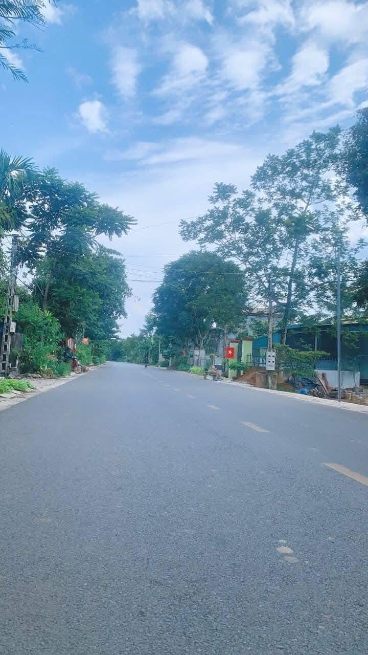 Đất nền Thọ Xuân 160m² giá thỏa thuận - Vị trí buôn bán cực tốt!