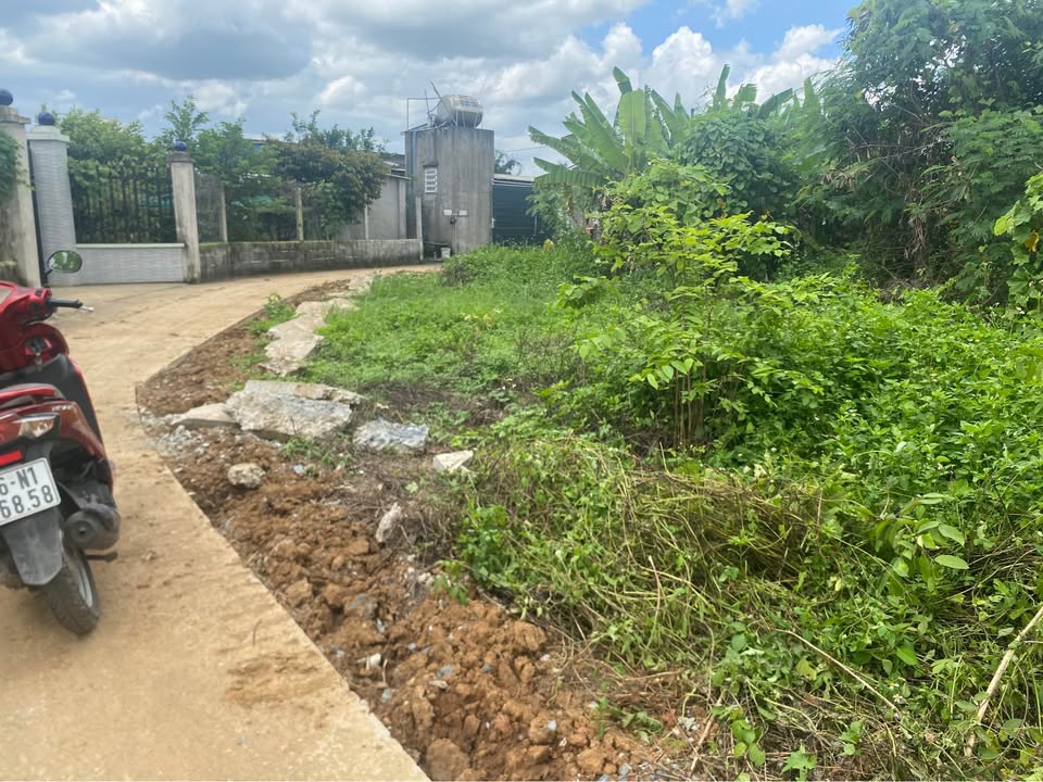 Đất thổ cư Tân Triều 93m² giá 900 triệu - Vị trí lô góc, thuận tiện xây dựng!