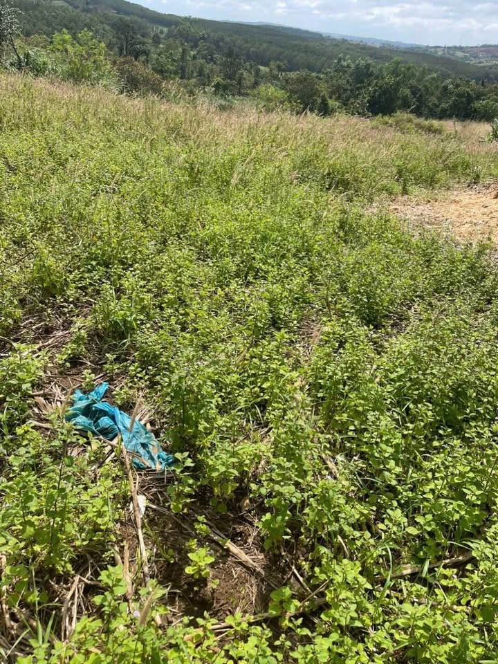 Đất Farm 1.2ha tại Ea Khal, Đắk Lắk - Giá chỉ 768 triệu, cơ hội đầu tư tuyệt vời!