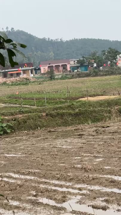 Đất đấu giá xã Ngọc Sơn 330m² - Vị trí thuận lợi, giá thỏa thuận!