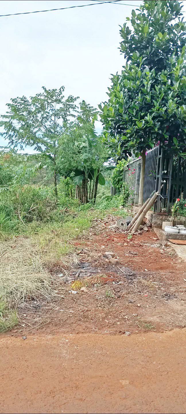 Đất mặt tiền đường Nam Kỳ Khởi Nghĩa 680m² giá 1.08 tỷ - Đầu tư sinh lời ngay!